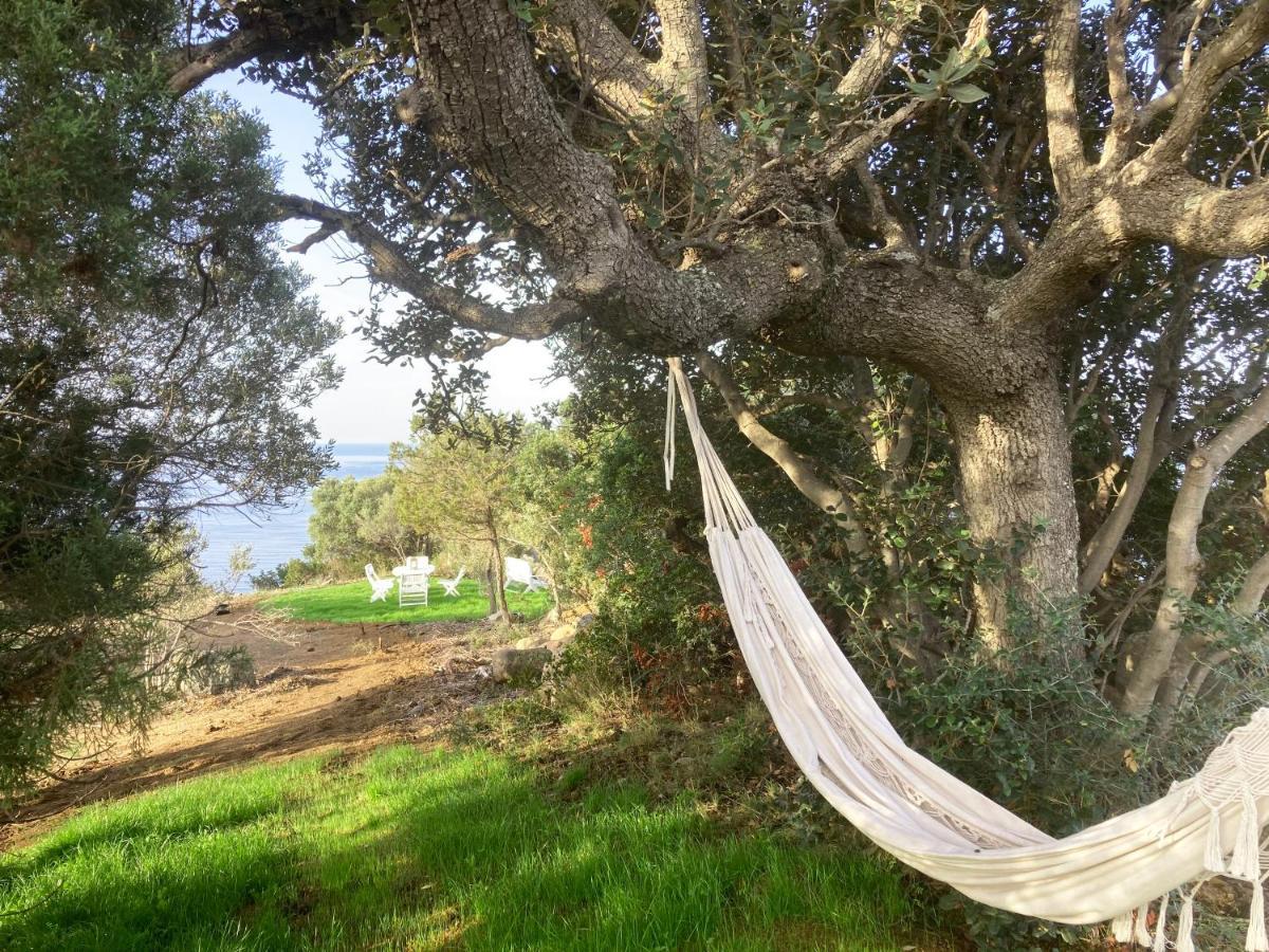 Domaine De La Coletta Maison Traditionnelle Coti-Chiavari (Corsica)